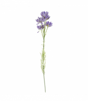 Pack of 6 x 60cm Purple Starflower Stem - 30 Flowers