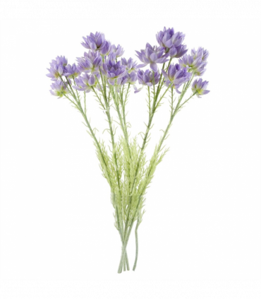 Pack of 6 x 60cm Purple Starflower Stem - 30 Flowers