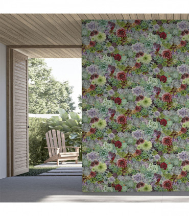 Succulent Living Wall Multi sw12