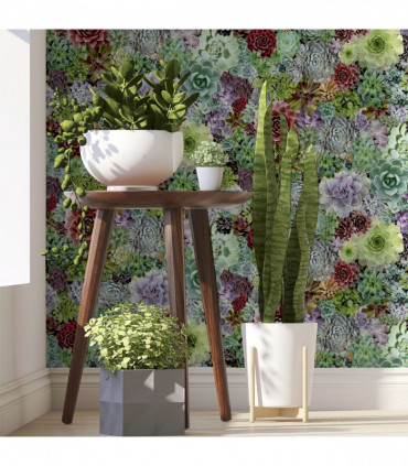Succulent Living Wall Multi sw12