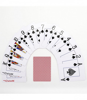Vinsani Traditional Check Poker Casino Plastic Coated Playing Cards 12 Decks