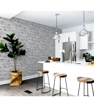 Whitewashed Wall White  sw12