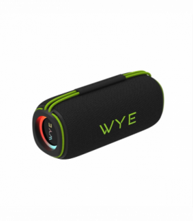 Wye 30W High Fidelity Wireless Speaker