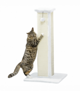 PawHut 81cm Cat Scratching Post w/ Sisal Rope, Hanging Ball Soft Plush White