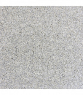 Quartz Silver sw6