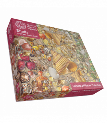 Natural History Museum - Shells 1000 Piece Jigsaw Puzzle