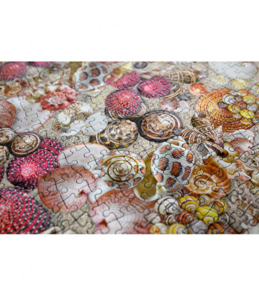 Natural History Museum - Shells 1000 Piece Jigsaw Puzzle