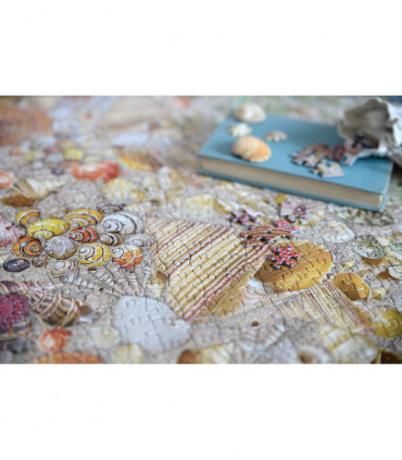 Natural History Museum - Shells 1000 Piece Jigsaw Puzzle