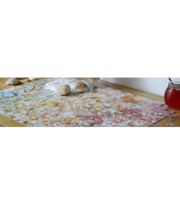 Natural History Museum - Shells 1000 Piece Jigsaw Puzzle