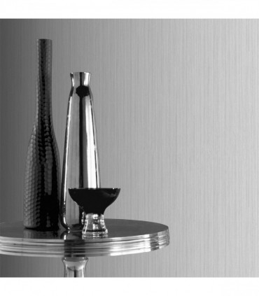 Stardust Silver sw12