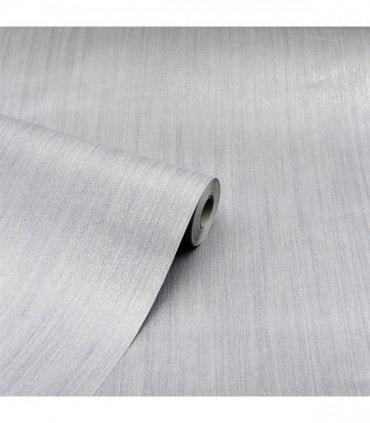 Stardust Silver sw12