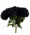 Pack of 6 x 75cm Extra Large Reflex Chrysanthemum - Black