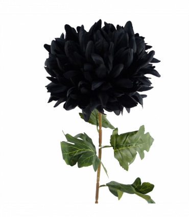 Pack of 6 x 75cm Extra Large Reflex Chrysanthemum - Black