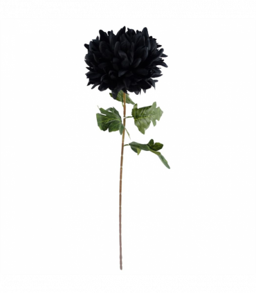 Pack of 6 x 75cm Extra Large Reflex Chrysanthemum - Black