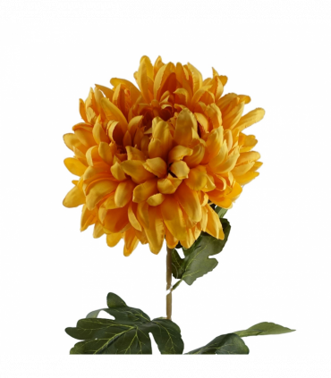 Pack of 6 x 75cm Extra Large Reflex Chrysanthemum - Gold