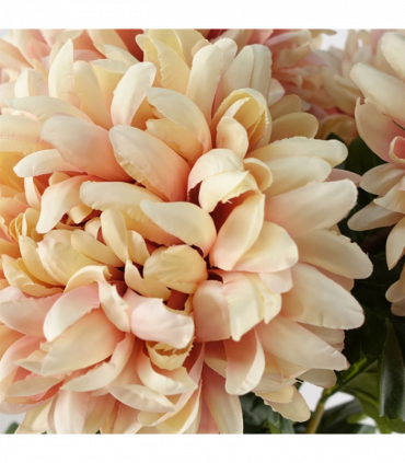Pack of 6 x 75cm Extra Large Reflex Chrysanthemum - Pink