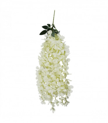 Pack of 6 x 80cm Hanging Wisteria Flowers in Cream