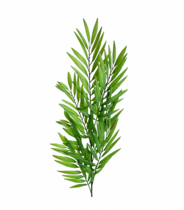 Pack of 6 x 85cm Bamboo Fern Stem