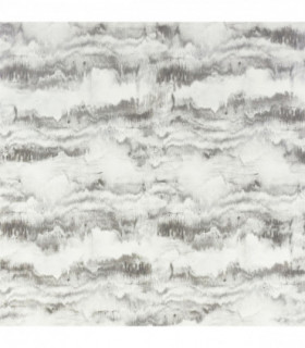 Painted Canvas Grey sw12