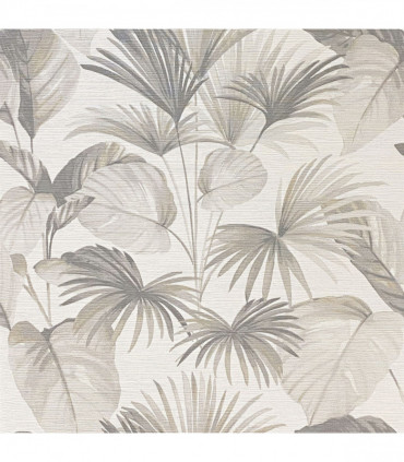 Palm Grove Natural sw6