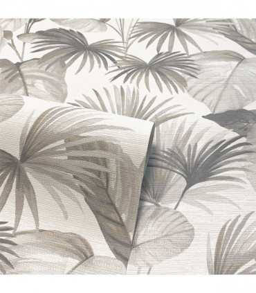 Palm Grove Natural sw6