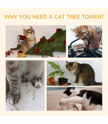 PawHut 240-260cm Floor to Ceiling Cat Tree with Scratching Posts - Dark Grey