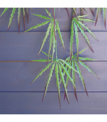 Artificial Hanging Acer Spider Plant Large Green Plastic 100cm Realistic Leaves
