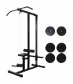 vidaXL Power Tower with Weight Plates 40 kg