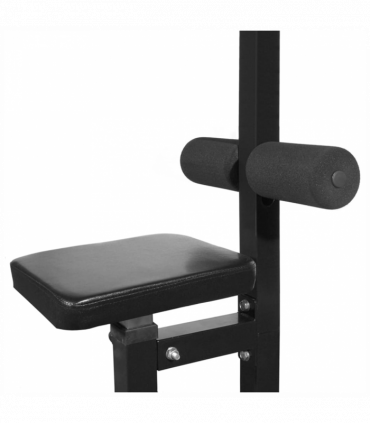 vidaXL Power Tower with Weight Plates 40 kg