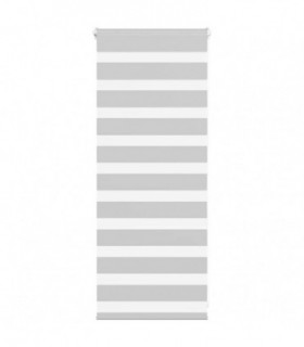 vidaXL Zebra Blind Light Grey 55x100 cm Fabric Width 50.9 cm Polyester