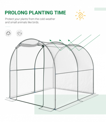 Greenhouse Walk-in Tunnel Clear PVC Cover Steel Frame S Size 2.5m x 2m x 2m