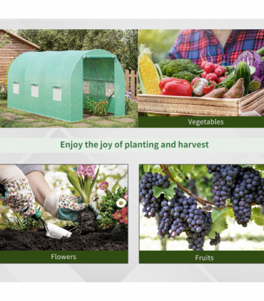 Walk-in Greenhouse