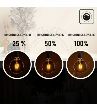 LED Dimmable Bulb G95 E27 2700K 8W Amber Glass Vintage Light Bulbs Pack of 10