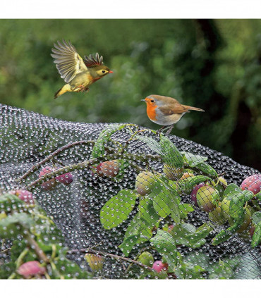 Netting Pond Protection Plants Veg Crops Fruit Fine Mesh 2M X 10M Light Green