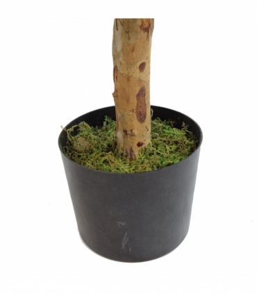 100cm Artificial Dracaena Plant Tree with Pot Premium Range