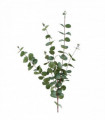 100cm Artificial Eucalyptus Foliage