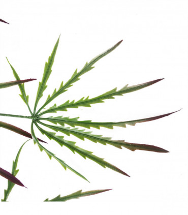Artificial Hanging Acer Spider Plant Large Green Plastic 100cm Realistic Leaves