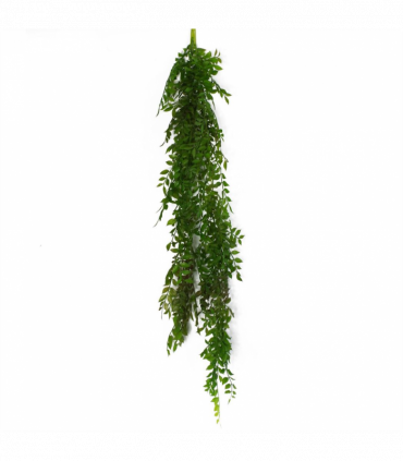 100cm Hanging String of Pearls Fern Plant Dark Green