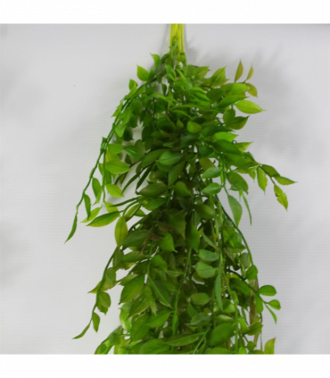 100cm Hanging String of Pearls Fern Plant Dark Green