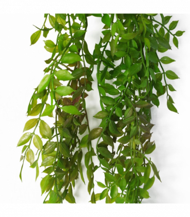 100cm Hanging String of Pearls Fern Plant Dark Green