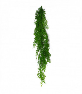 100cm Hanging String of Pearls Fern Plant Light Green