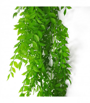 100cm Hanging String of Pearls Fern Plant Light Green