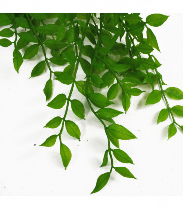 100cm Hanging String of Pearls Fern Plant Light Green