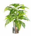 100cm Large Fox's Aglaonema (Spotted Evergreen) Tree Artificial Plant with Silver Metal Planter