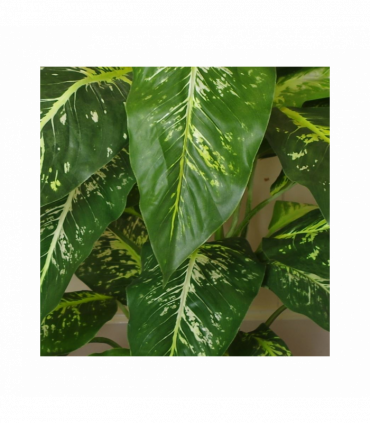 100cm Large Fox's Aglaonema (Spotted Evergreen) Tree Artificial Plant with Silver Metal Planter