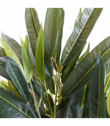 100cm Longifolia Ficus Tree Artificial Natural Trunk