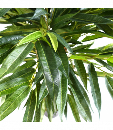 100cm Longifolia Ficus Tree Artificial Natural Trunk