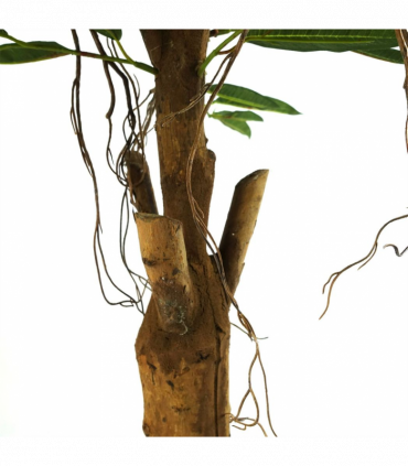 100cm Longifolia Ficus Tree Artificial Natural Trunk