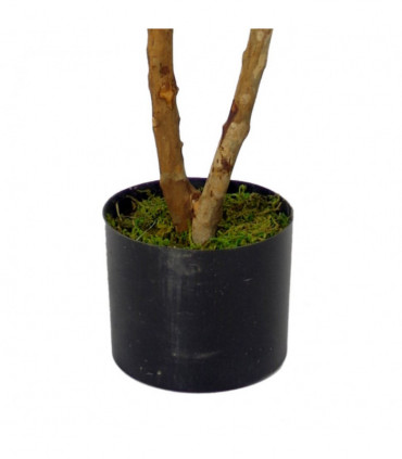 100cm Luxury Artificial Mini Ruscus Tree - Premium Range