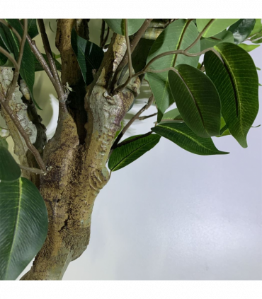 100cm Premium Artificial Ficus Twist Tree Gold Planter